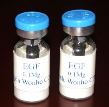 Egf (Recombinant Human Epidermal Growth Factor)